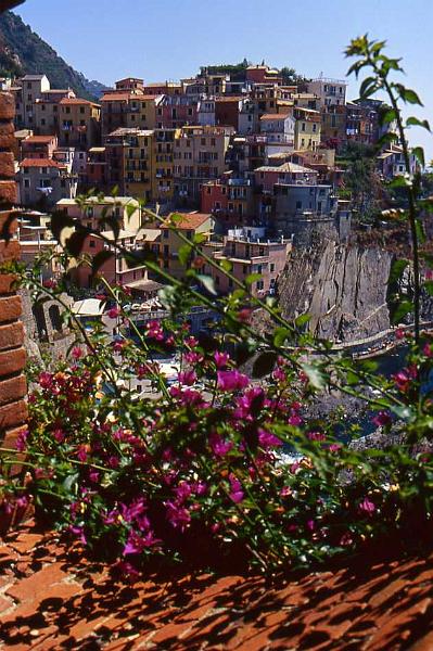 36-Manarola,14 agosto 2008.jpg
